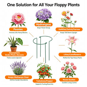 AMAGABELI Garden & Home easy in-soil installation saves time.