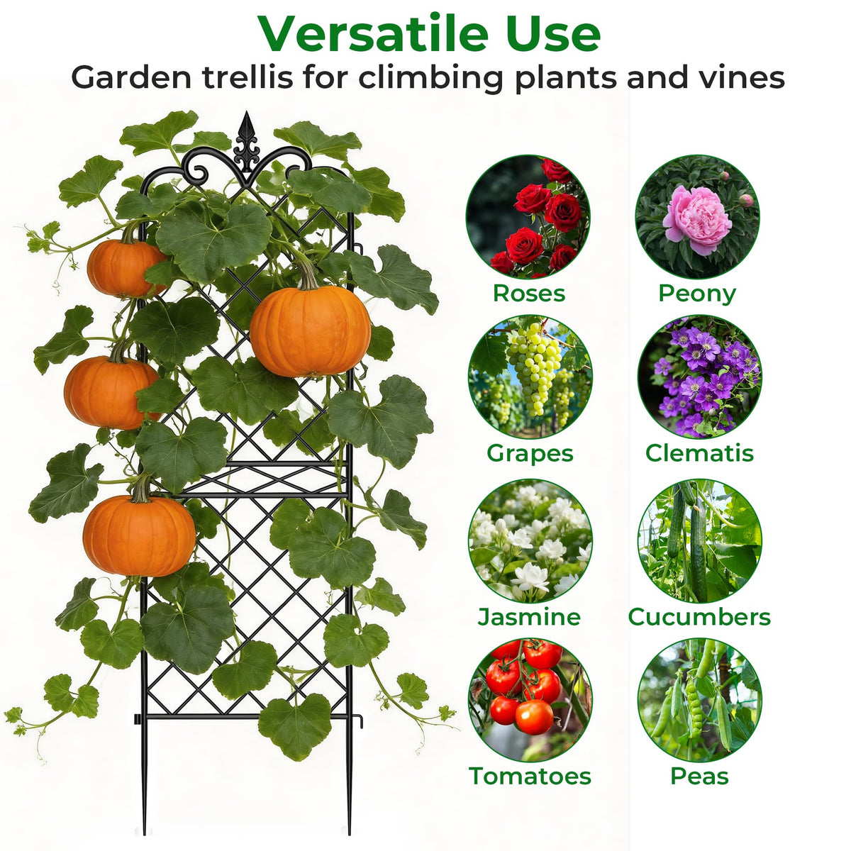 Amagabeli Garden & Home easy-install arch trellis for quick setup.