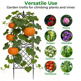 Amagabeli Garden & Home easy-install arch trellis for quick setup.