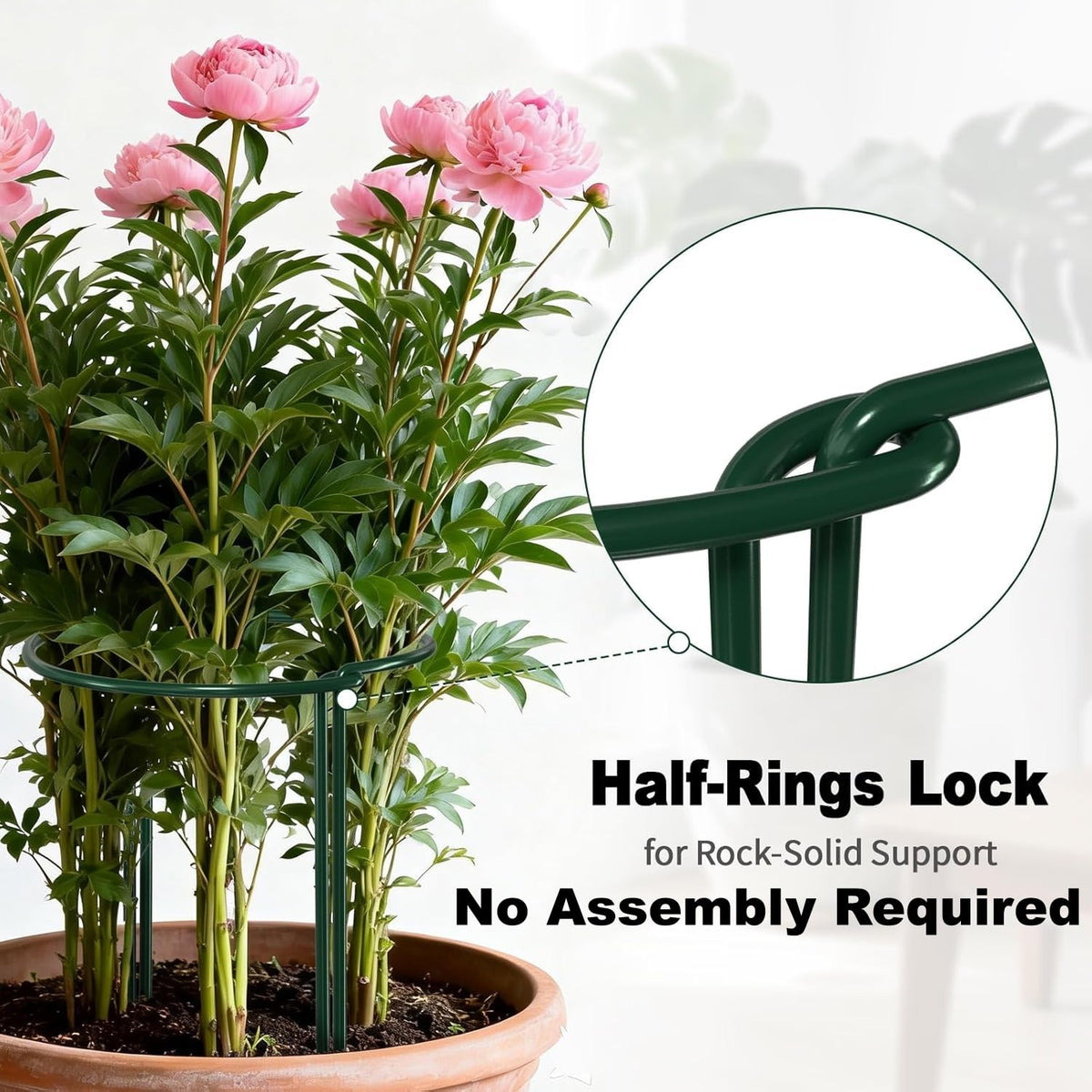 AMAGABELI GARDEN & HOME hydrangea cage stake provides durable weatherproof support
