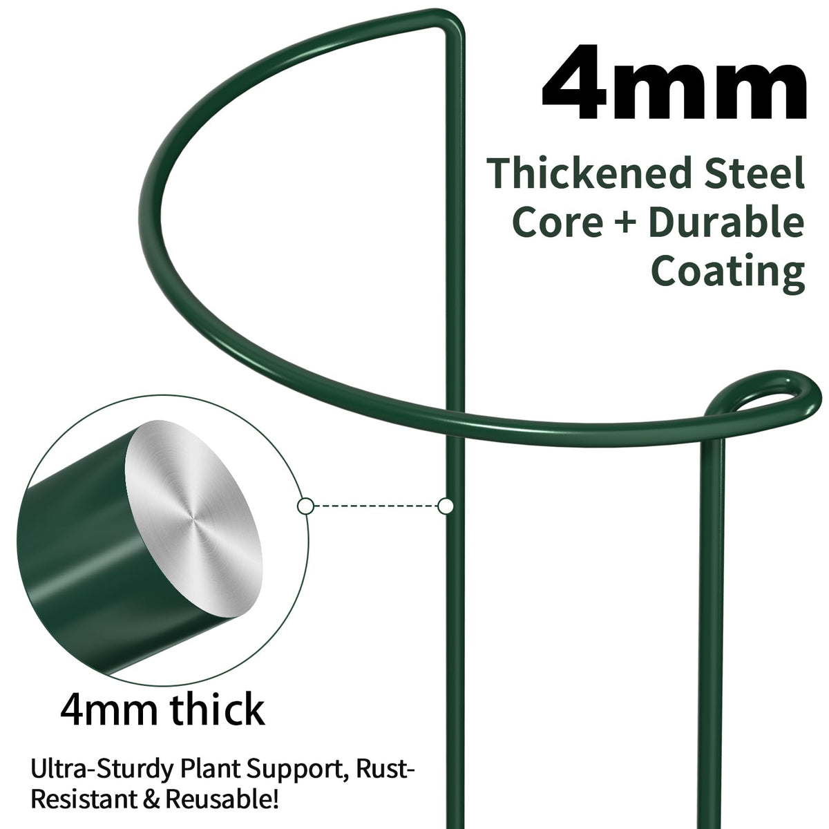 AMAGABELI GARDEN & HOME monstera cage stake helps large leaves stay tidy and upright