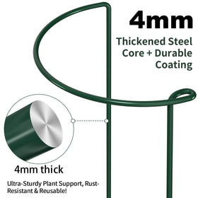 AMAGABELI GARDEN & HOME monstera cage stake helps large leaves stay tidy and upright