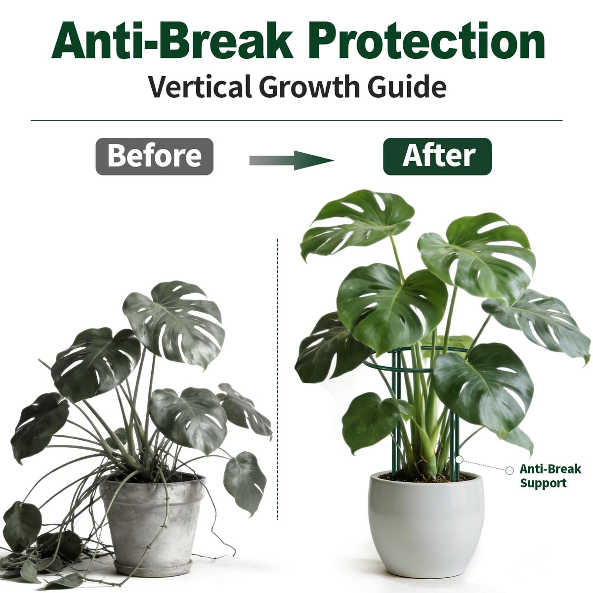 AMAGABELI GARDEN & HOME rose cage stake promotes steady outward growth