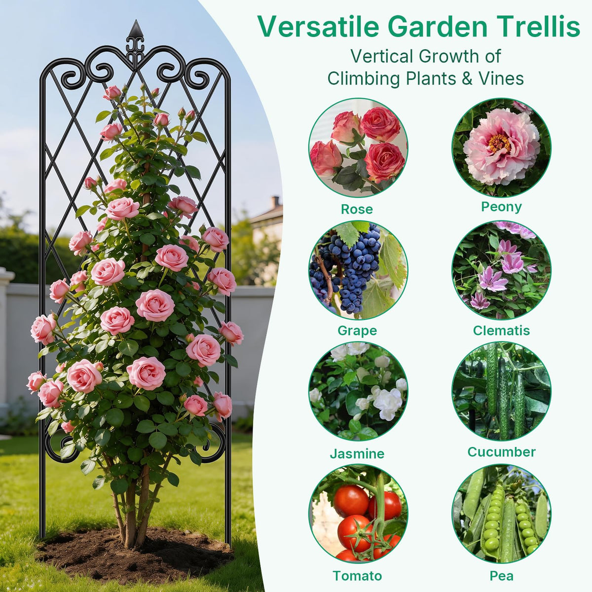 AMAGABELI Garden Trellis ivy setup demonstrates space-saving garden solution.