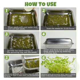 Amarys Hearth compact kit fits small kitchens for fresh greens at home.