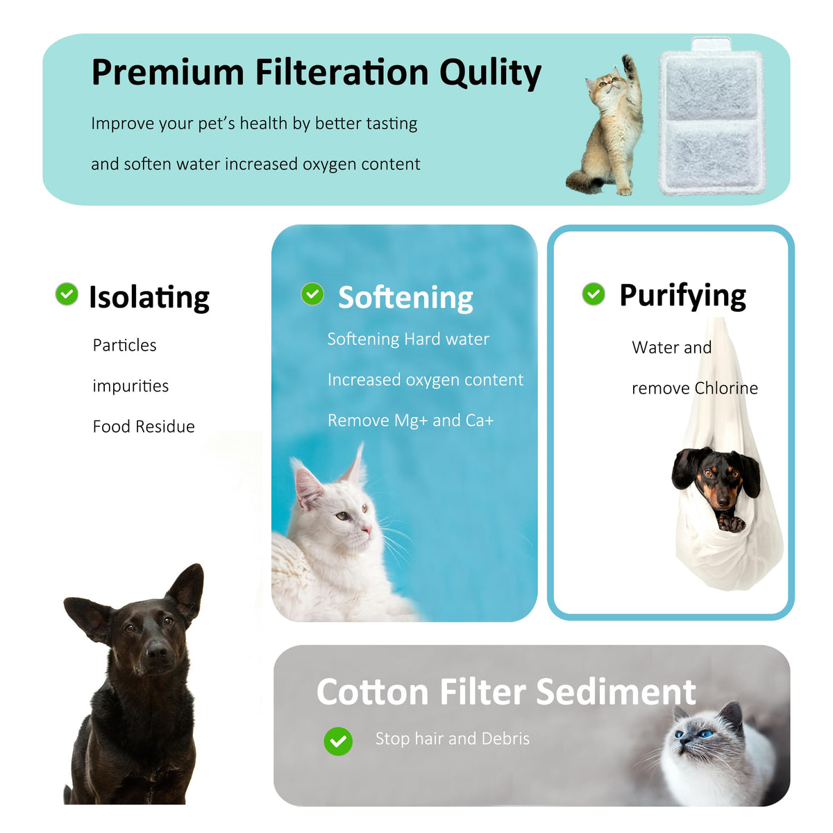 Amazinpure WCSB filter replacement window of 2–6 weeks shown in infographic