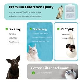 Amazinpure WCSB filter replacement window of 2–6 weeks shown in infographic