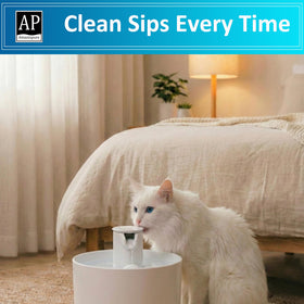 Amazinpure WCSB filter softens water for fresher-tasting pet fountain water