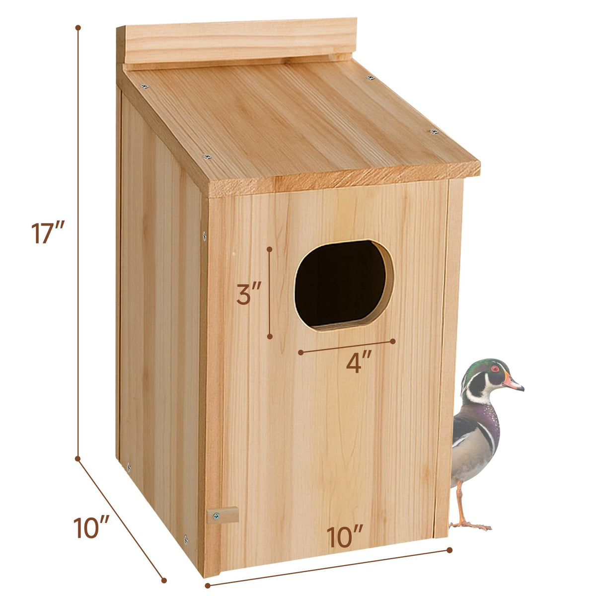 Amcortn duck house drainage holes keep interior dry