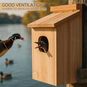 Amcortn duck house entrance open with 3x4 inch access for ducklings