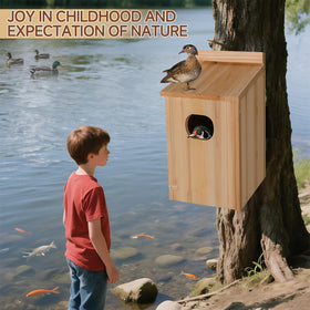 Amcortn duck house wood texture close-up shows quality timber