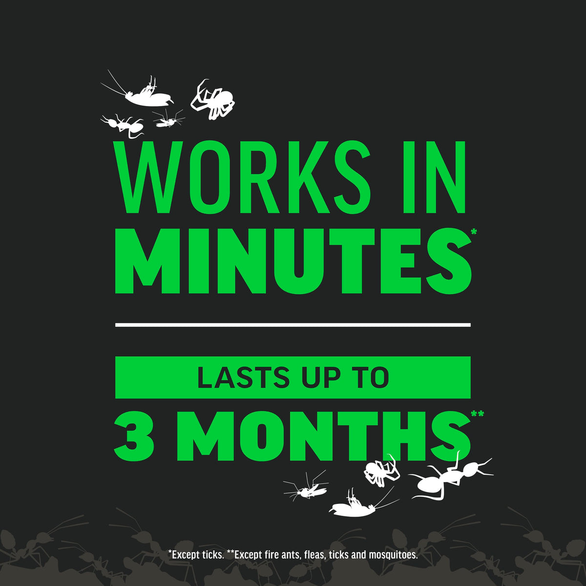 Amdro Quick Kill fights mosquitoes for outdoor evenings.