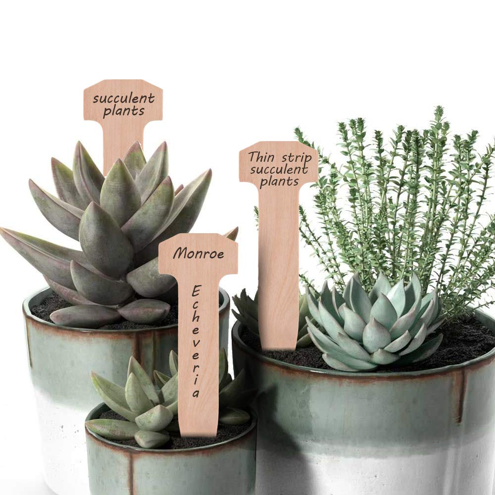 AMEILOZ easy-to-use wooden stakes enable quick outdoor installations.