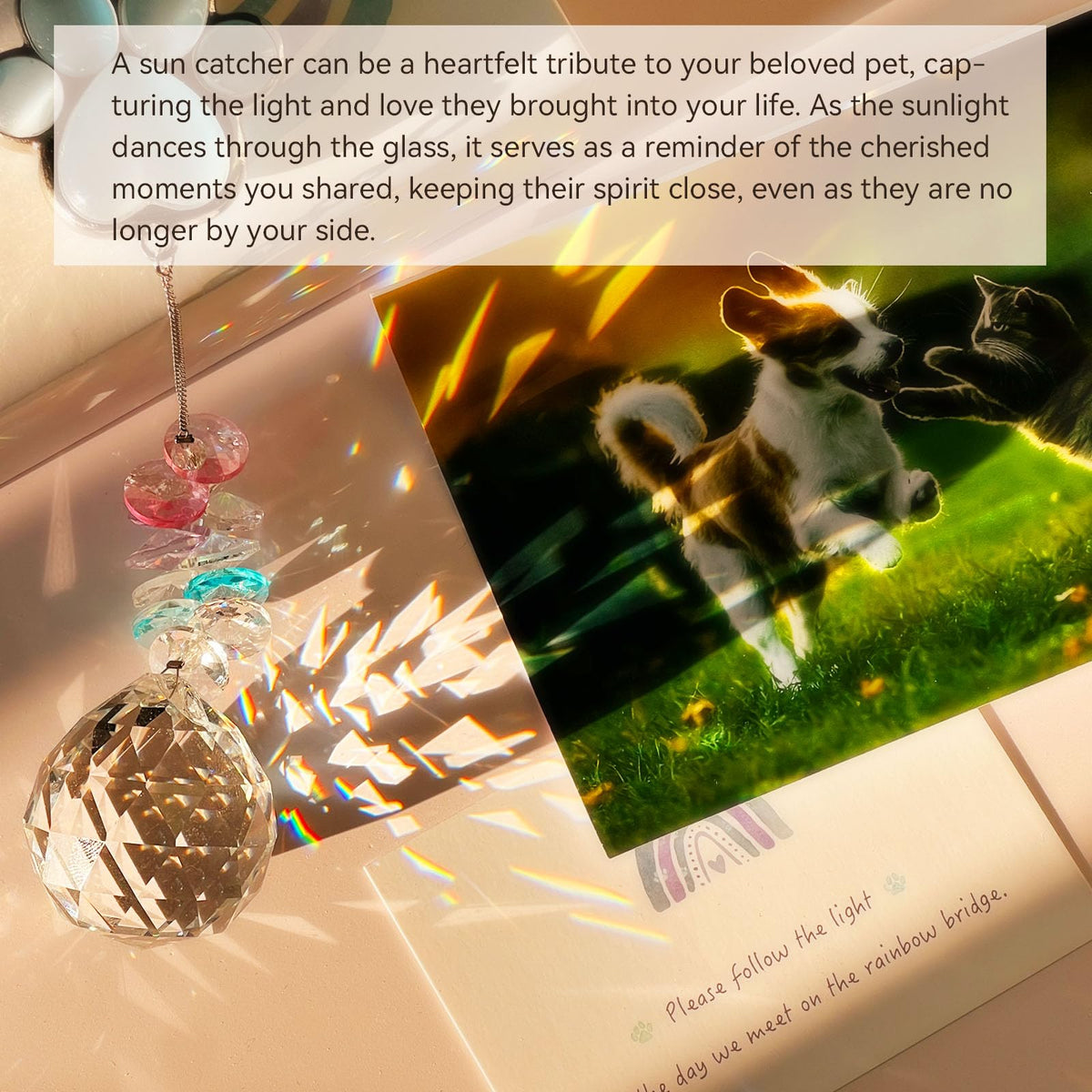 AMETHUARTZ dog memorial gift-packaging elevates sympathy gifting with elegance.