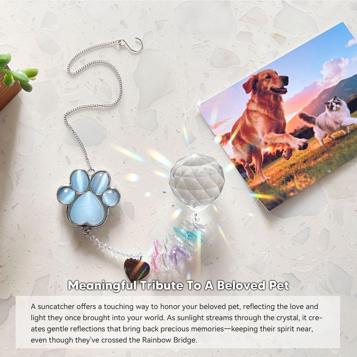 AMETHUARTZ crystal pendant highlights the paw charm for a heartfelt keepsake.