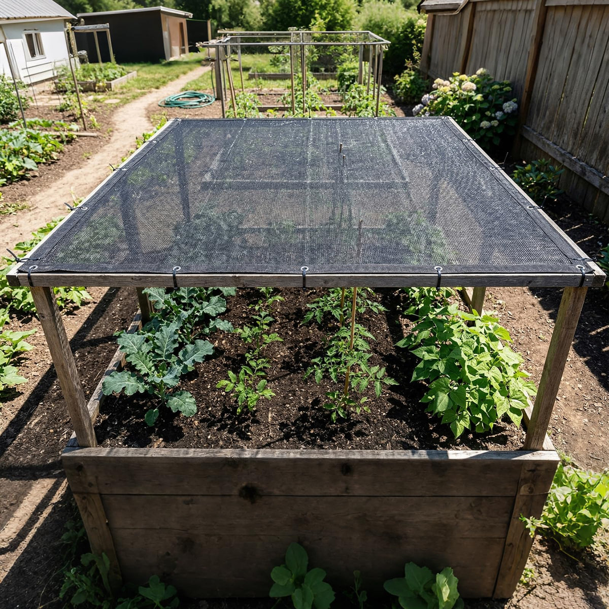 Amgo Livestock shelter shade cloth helps poultry houses stay cooler.