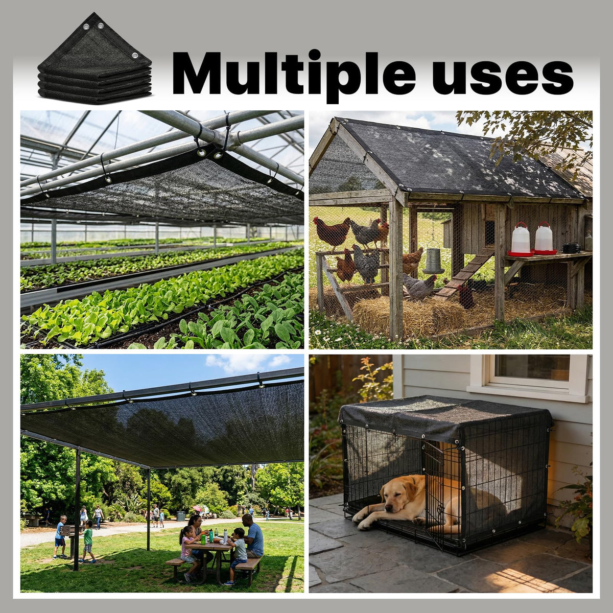 Amgo product supports healthy growth while reducing leaf scorch risk
