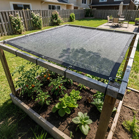 Amgo helps nursery crops stay productive with airflow