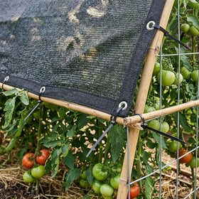 Amgo shade cloth protects vegetables during hot afternoons