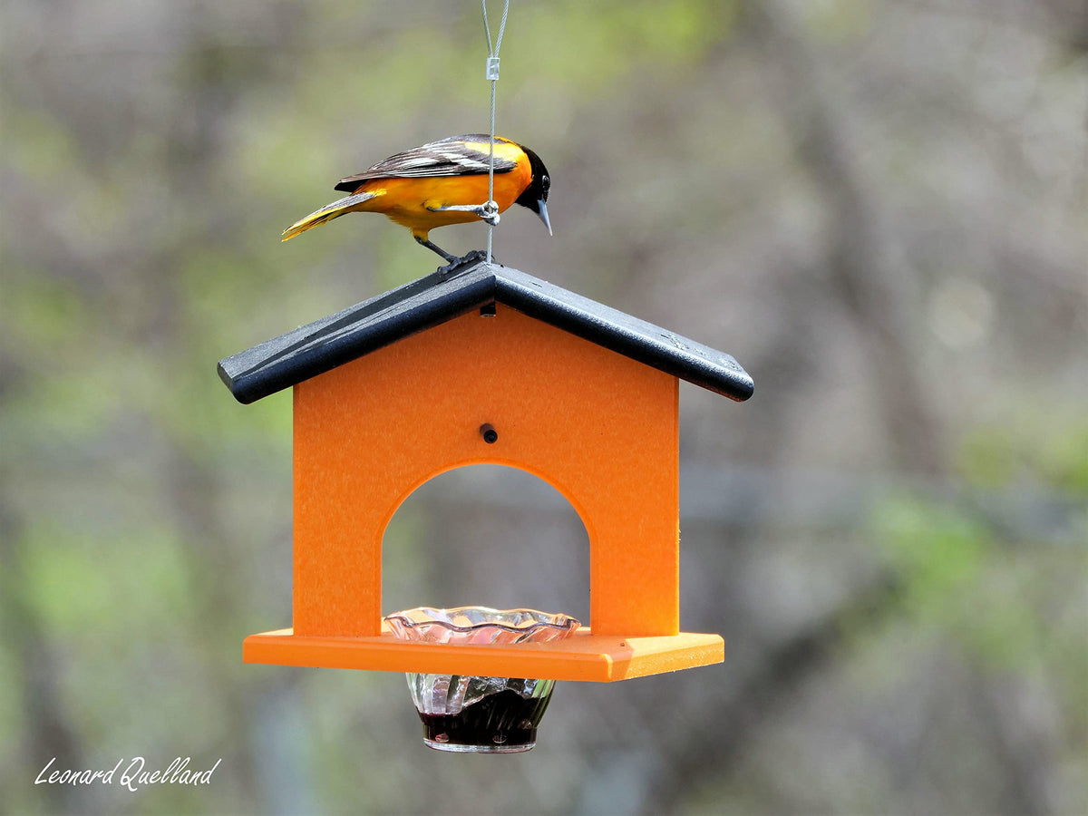 AmishToyBox Oriole feeder three color options for garden decor