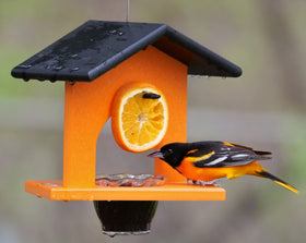 AmishToyBox Oriole feeder front view in black and orange inviting birds