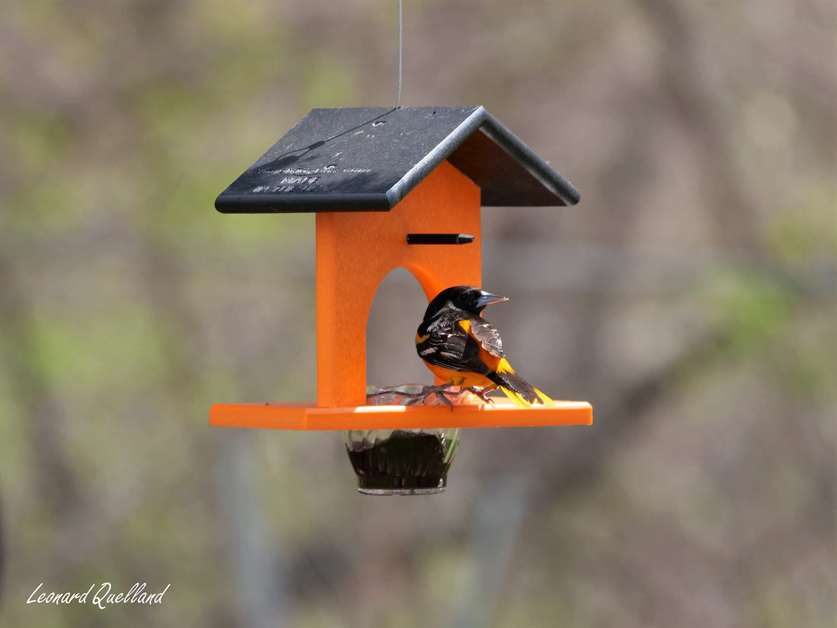 AmishToyBox Oriole feeder handmade in Shipshewana Indiana