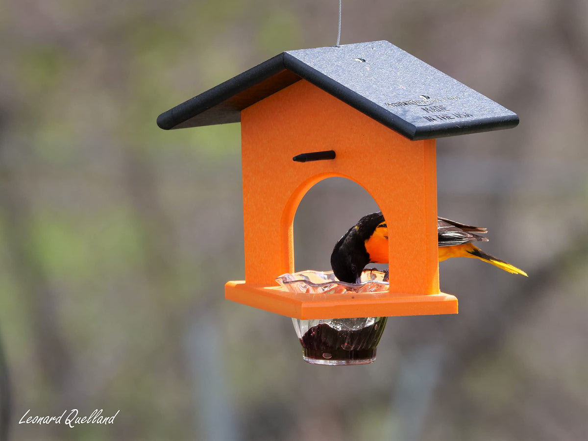 AmishToyBox Oriole feeder jelly dish for grape jelly refills