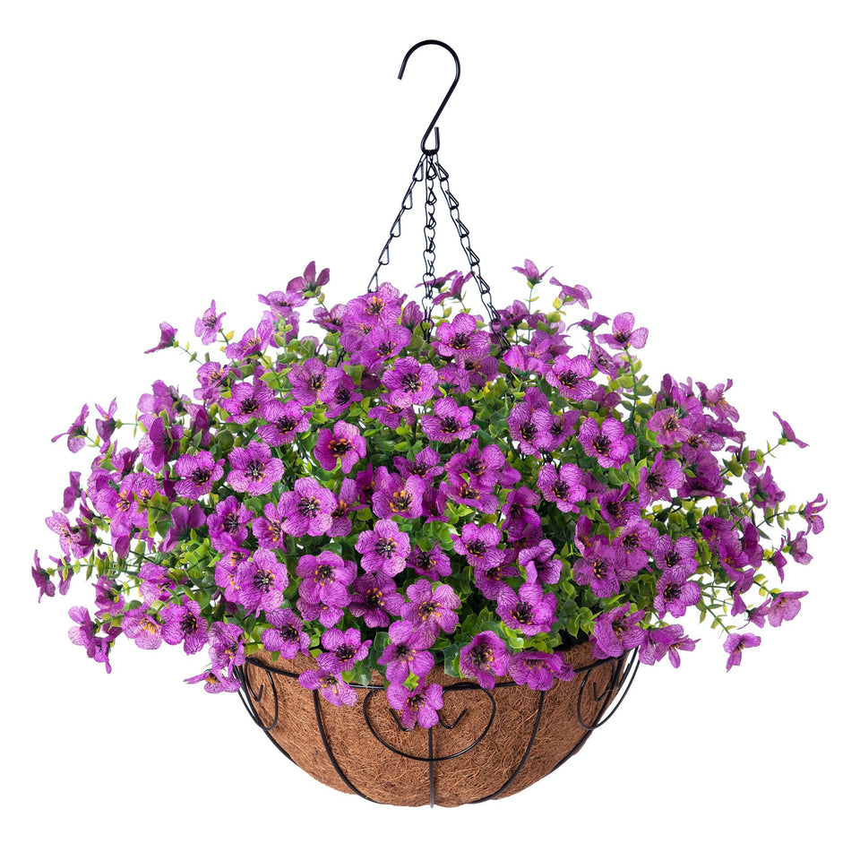 Ammyoo daisy hanging basket outdoors with vibrant, maintenance-free color.
