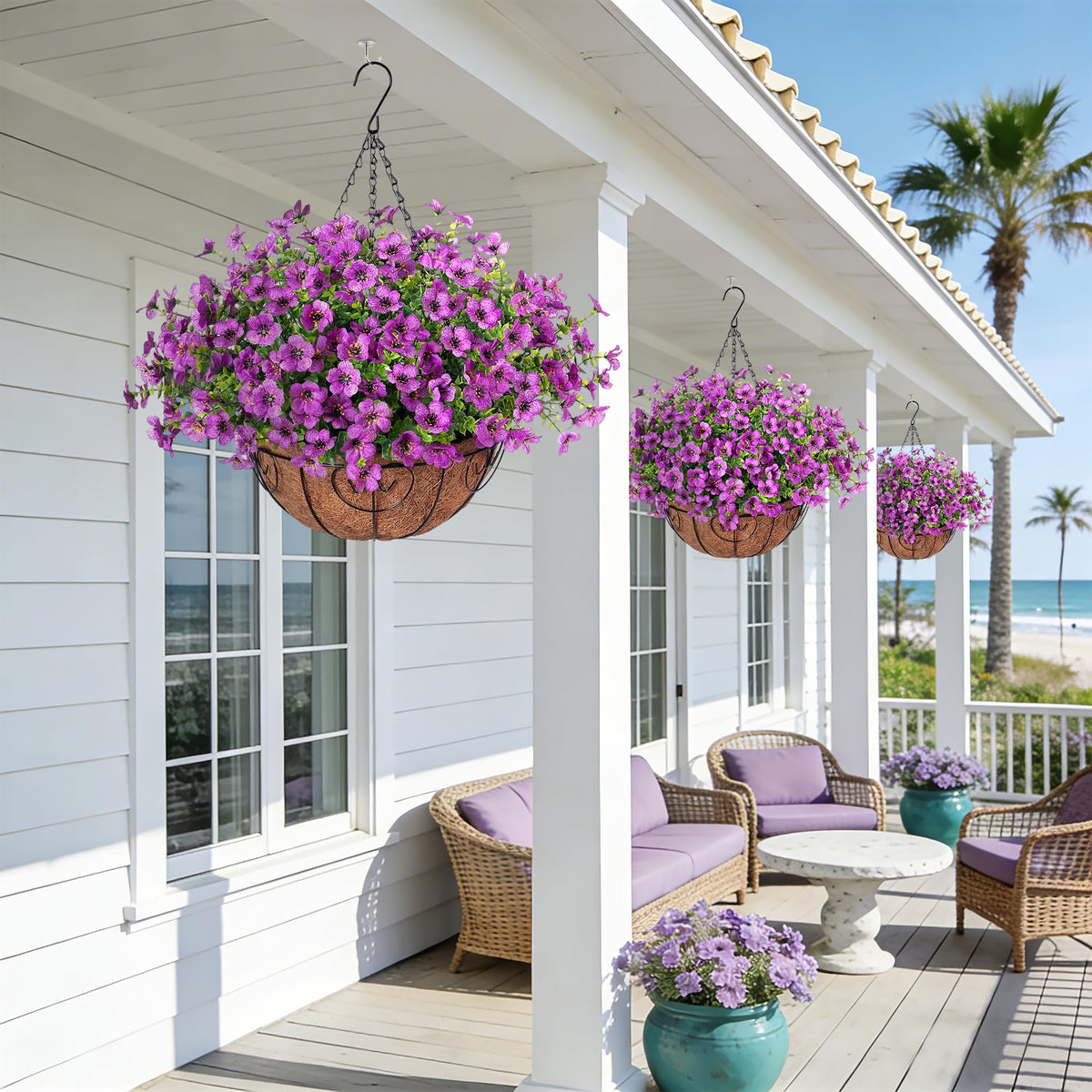 Maintenance-free Ammyoo flowers for year-round outdoor beauty.