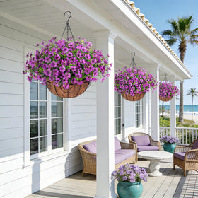Maintenance-free Ammyoo flowers for year-round outdoor beauty.