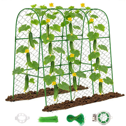 Amoskey cucumber trellis arch design supports climbing vines for vertical growth