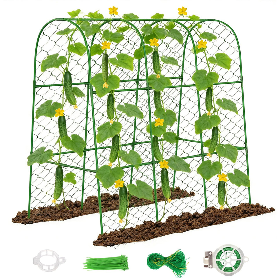 Amoskey cucumber trellis arch design supports climbing vines for vertical growth