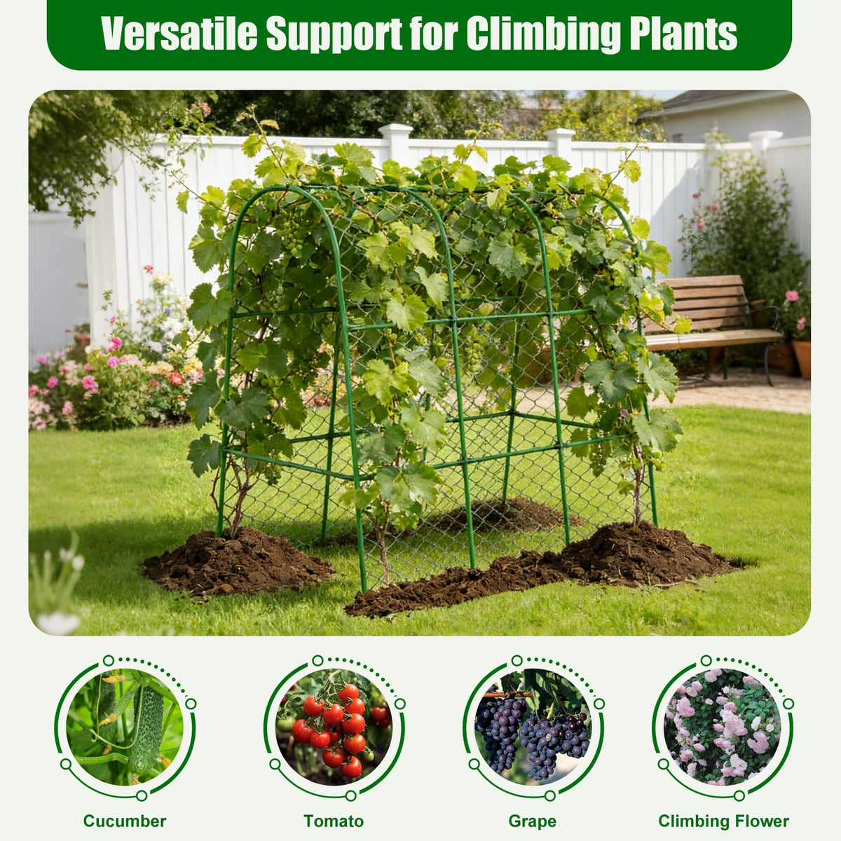 Amoskey cucumber trellis outdoor use for patios and raised beds