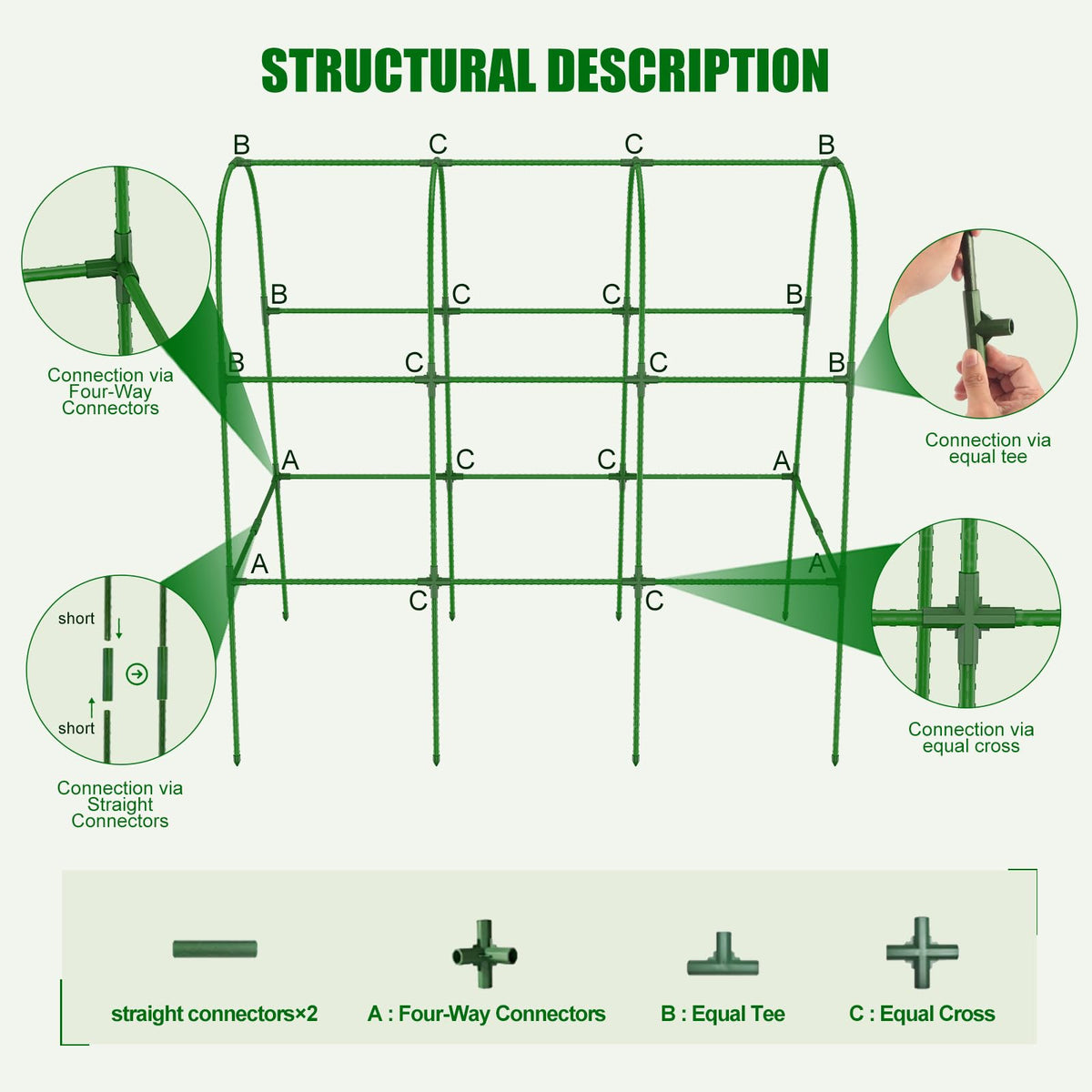 Amoskey cucumber trellis vertical growth promotes sun exposure