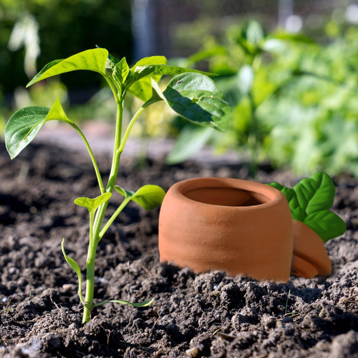 Amoyls bottle-connection option offers flexible irrigation setup