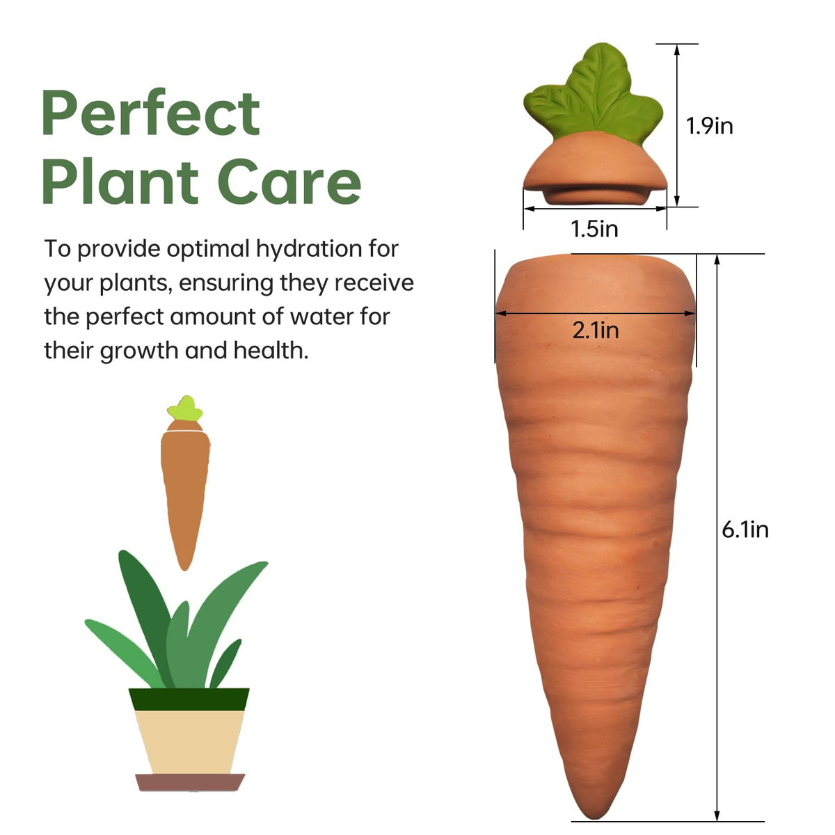 Amoyls self-watering spike ideal for vacation care and plant hydration