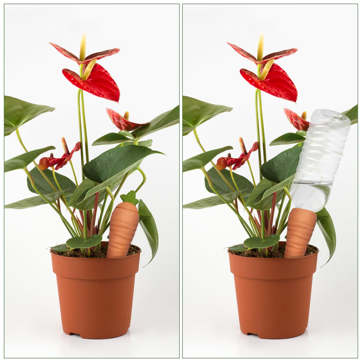 Amoyls deep-insert spike provides stable water release