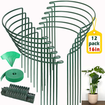 AMUXORA 16 inch peony stake set supports upright blooms and neat garden borders.