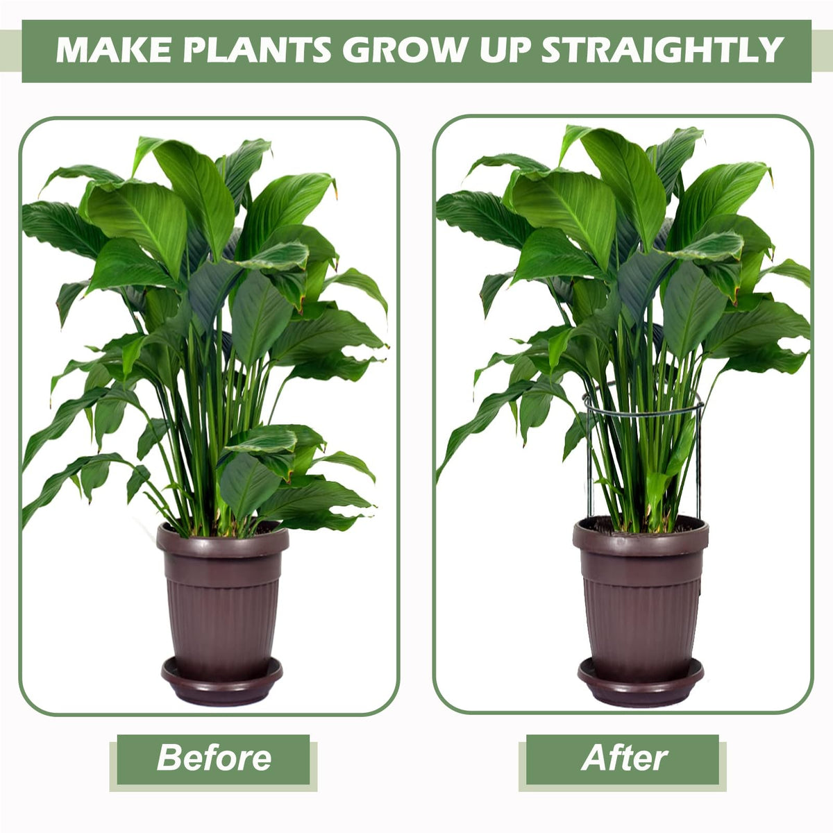 AMUXORA plant labels organize beds and pots for easy reference.