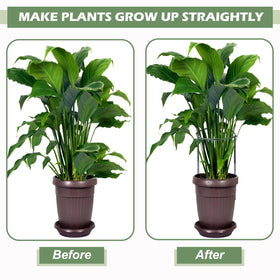 AMUXORA plant labels organize beds and pots for easy reference.