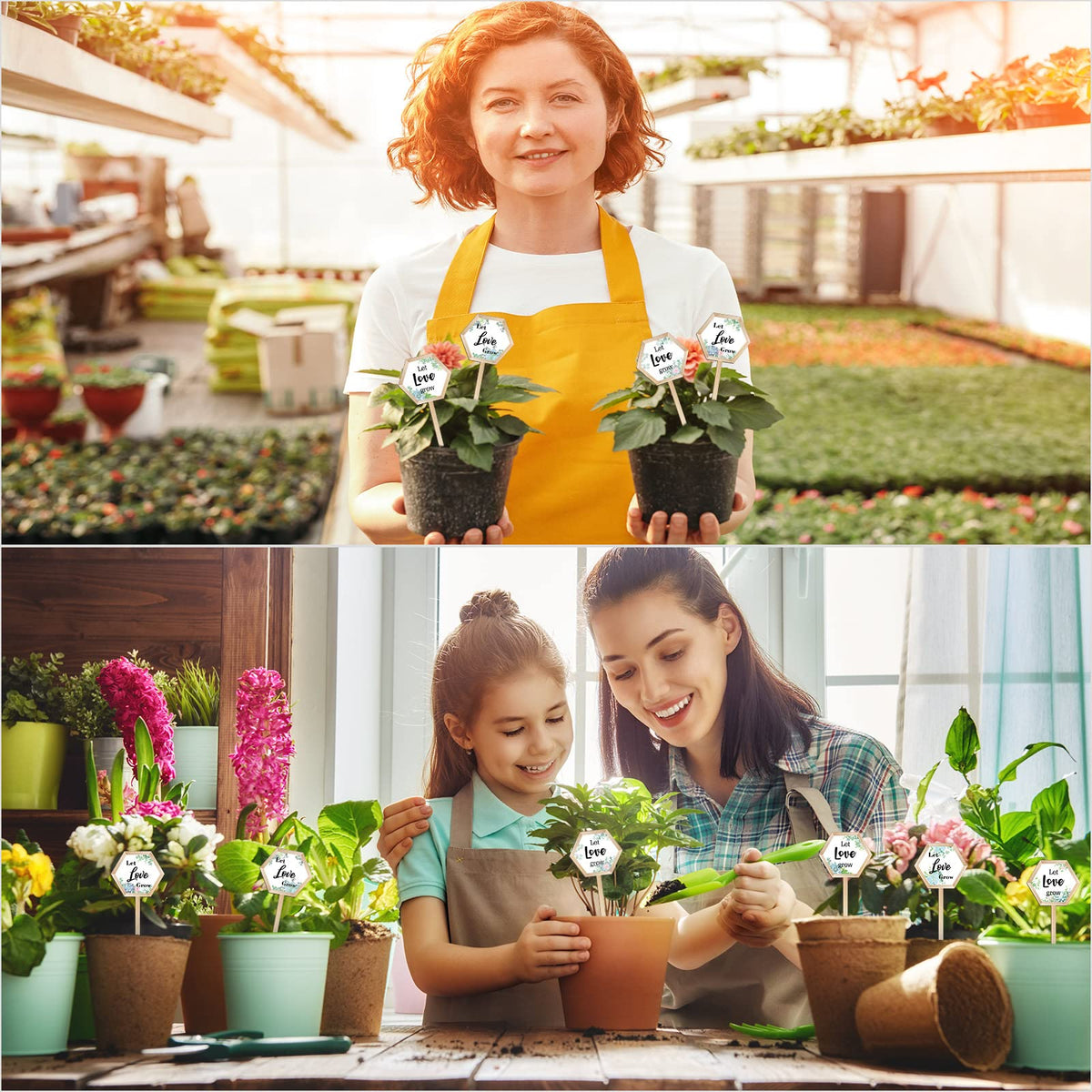 Amyhill durable garden signs add charming labels to potted flowers