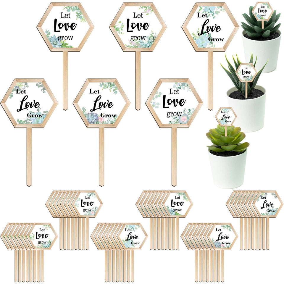 Amyhill Let Love Grow hexagon succulent tags for elegant garden labeling