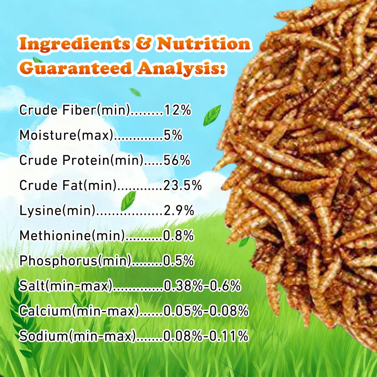 Close-up of Amzey mealworms showing protein-rich texture