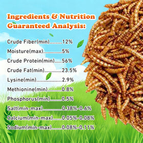 Close-up of Amzey mealworms showing protein-rich texture