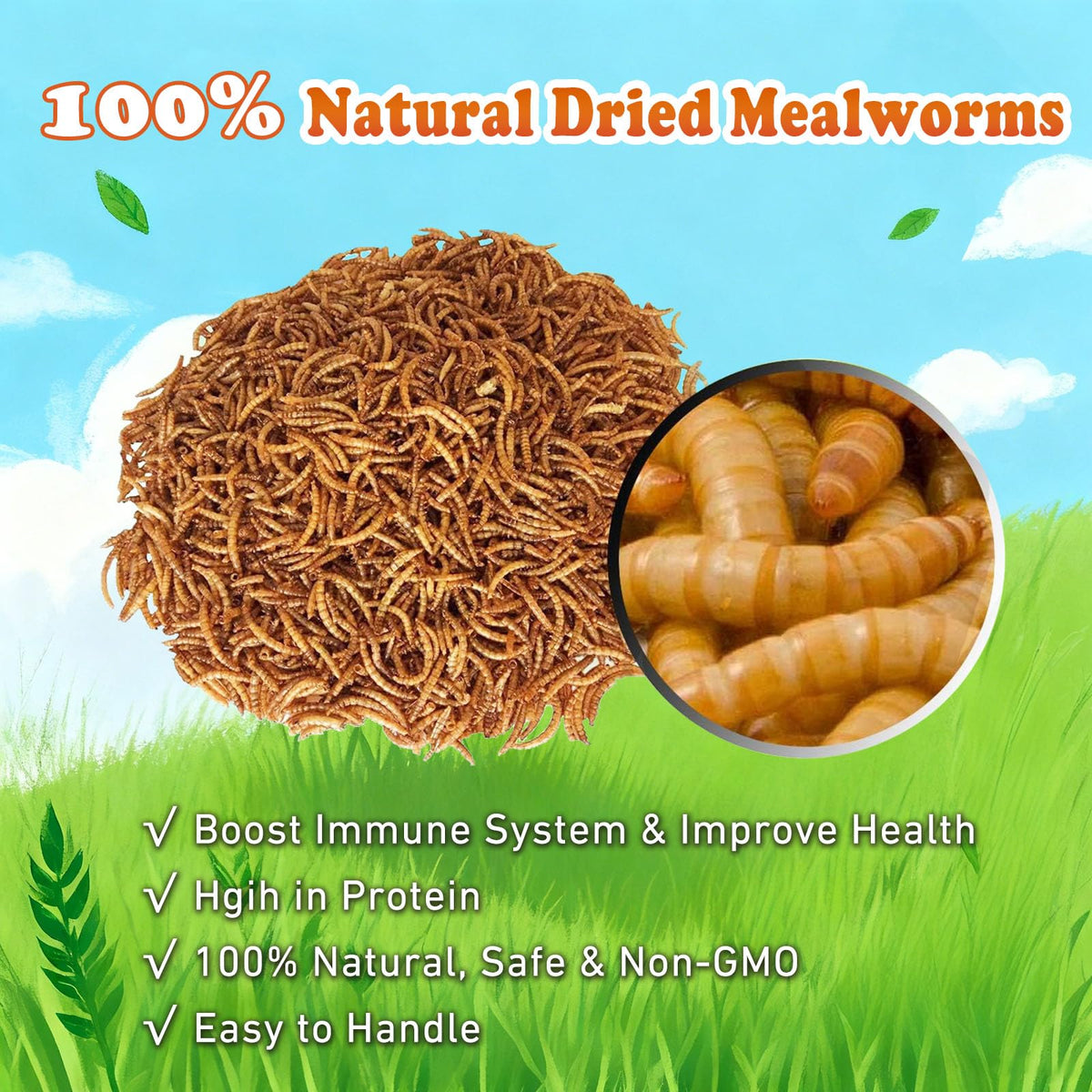 Amzey dried mealworms resealable container preserves freshness