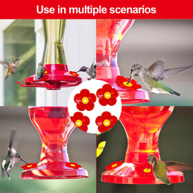 Amzlysdok outdoor-friendly flowers elevate garden décor while inviting hummingbirds to visit.