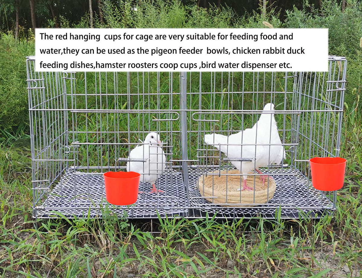 AMZSYLV hanging coop feeder with secure hooks for stable mounting.