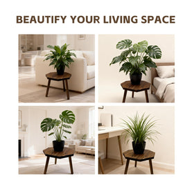 amzwkt indoor outdoor stand in use demonstrates versatile placement indoors and outside.