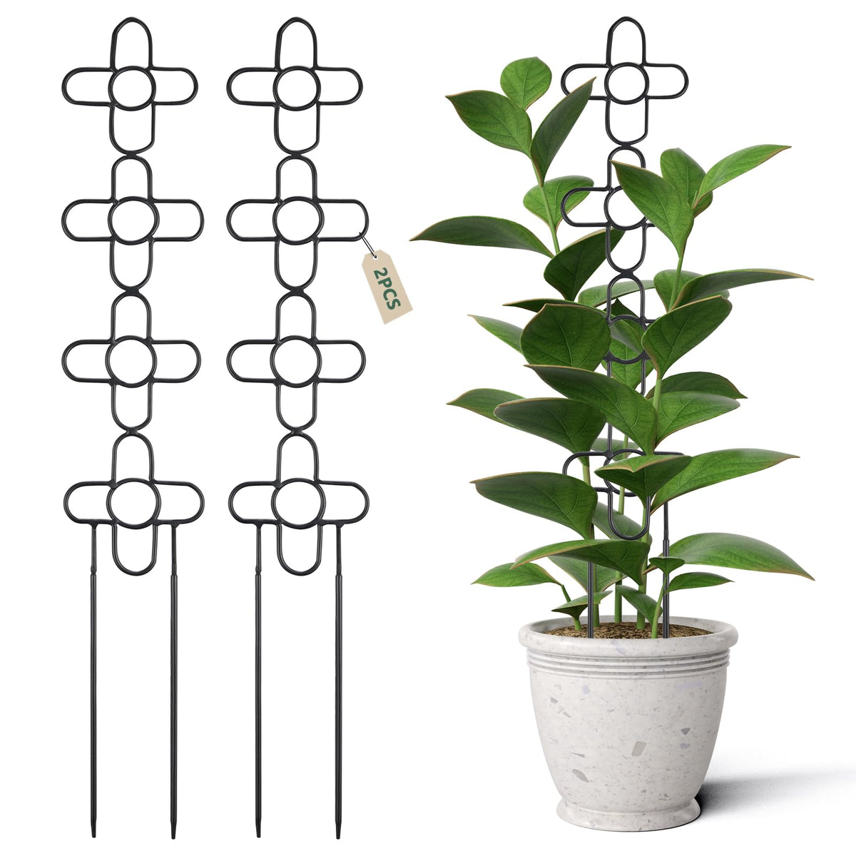 ANCOUUIN 24-inch indoor trellis for upright plant growth and support