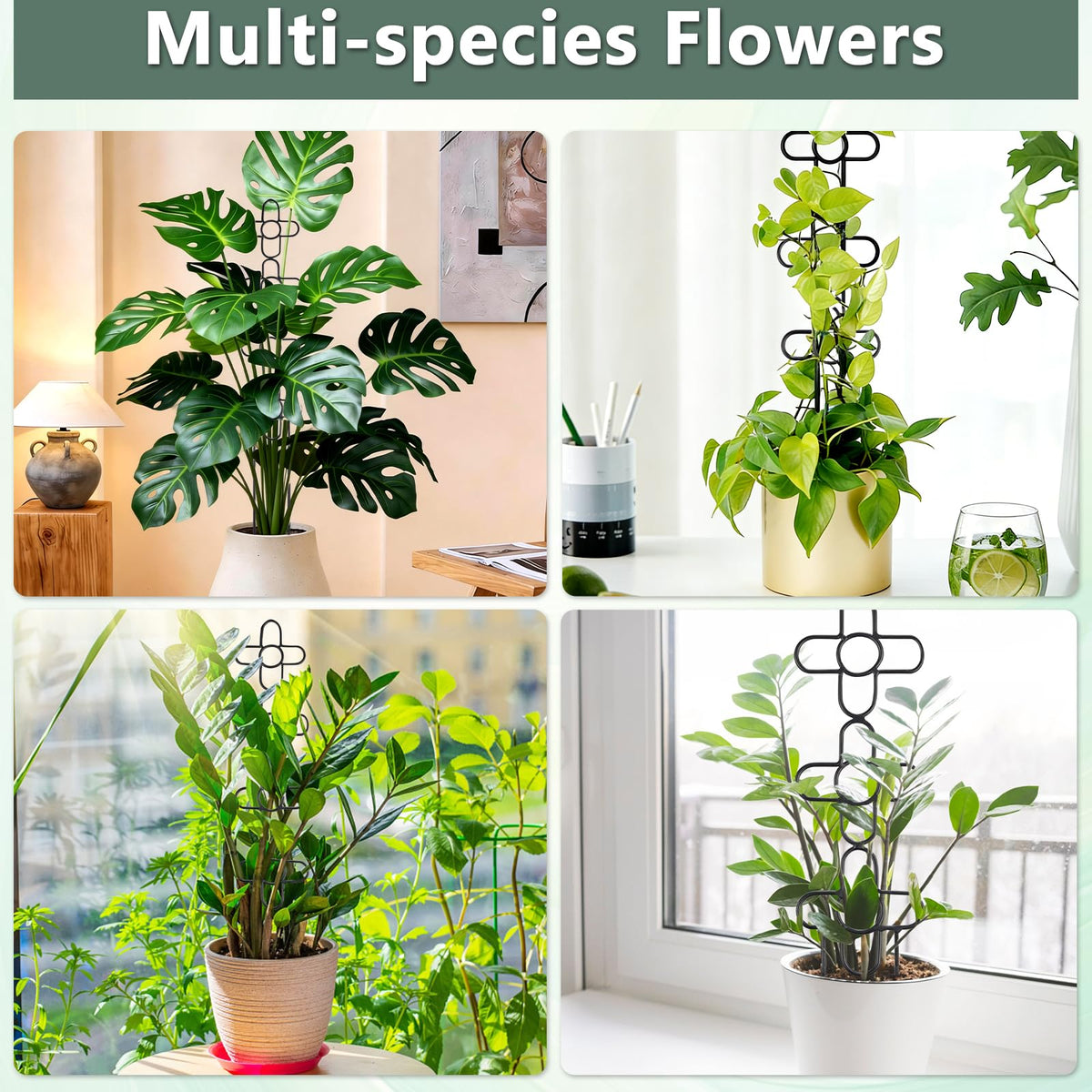 ANCOUUIN easy-install trellis makes setup quick for potted plants